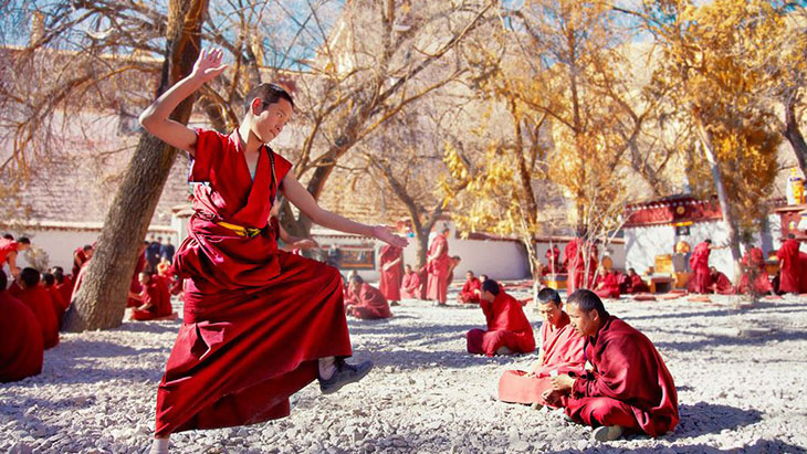 Monks Debate in Sera Monastery