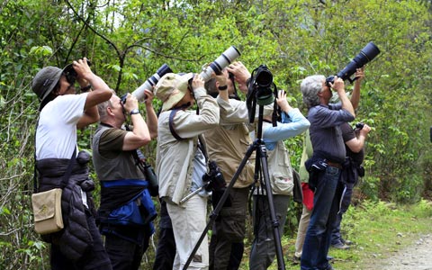 15 Days Bhutan Classic Bird Watching Tour