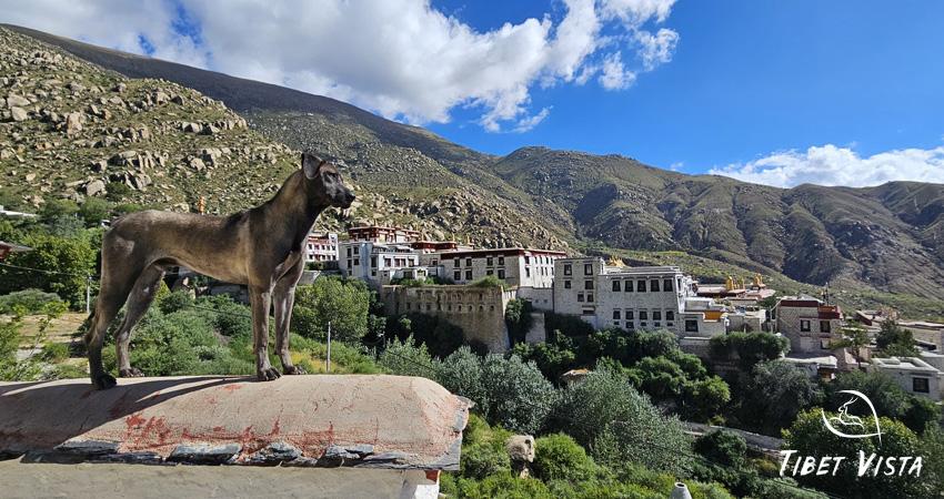 Visiting Sera Monastery