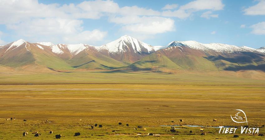 Natural view along the Qinghai-Tibet Railway