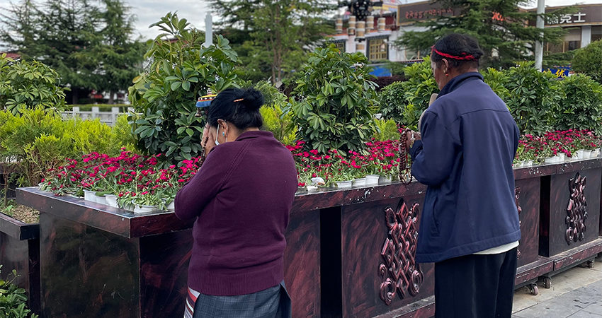 Tibetan Local Pilgrims