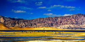 aboute ngari travel guide