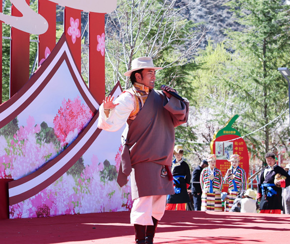dance and singing performance during nyingchi peach blossom festival