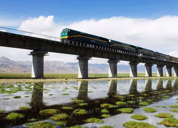 tibet train wetland image