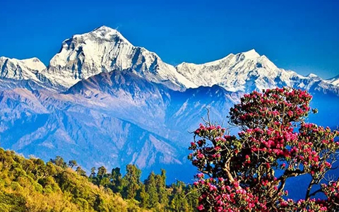 When is the Best Time to Visit Nepal and Tibet in 2026? 