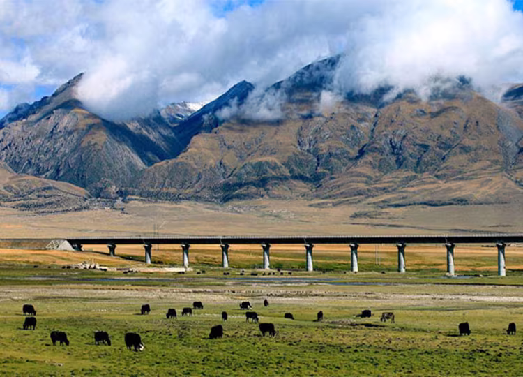 tibet train view image