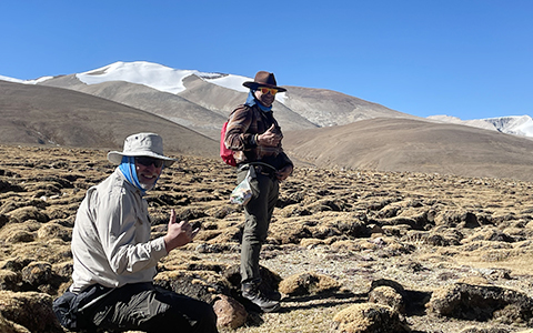 Top 10 Tibet Trekking Routes: Most Classic and Recommended in 2026