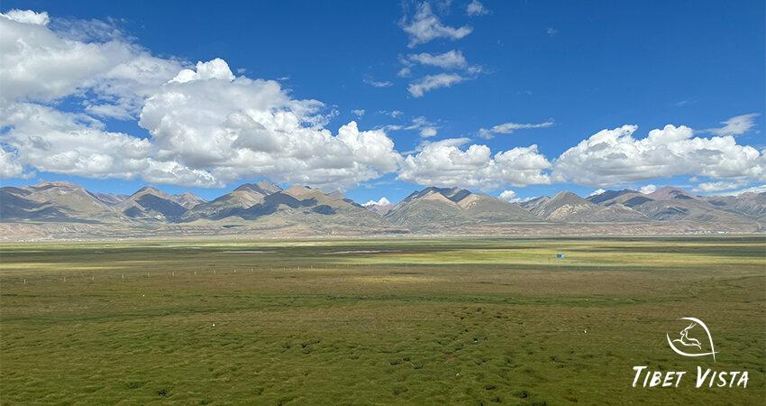 The stunning natural view outside the train window